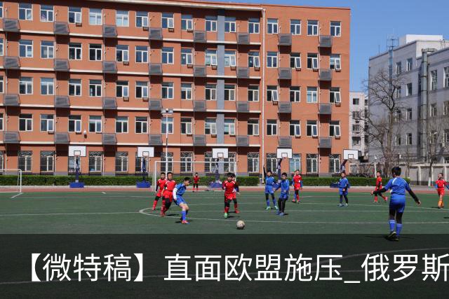 【微特稿】直面欧盟施压 俄罗斯与斯洛伐克欲加强合作
