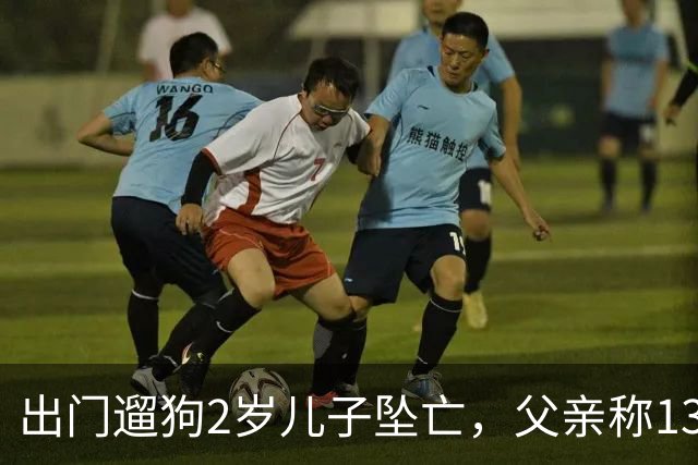 出门遛狗2岁儿子坠亡，父亲称13万丧葬费已对得起孩子，指责妻子带媒体去墓地是博流量；母亲含泪发声