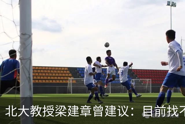 北大教授梁建章曾建议：目前找不到工作的年轻人，可以先结婚生子