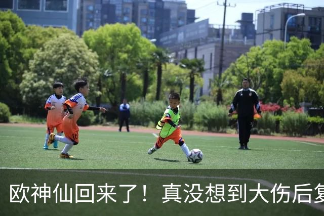 欧神仙回来了！真没想到大伤后复出 这么快就打出如此劲爆的表现