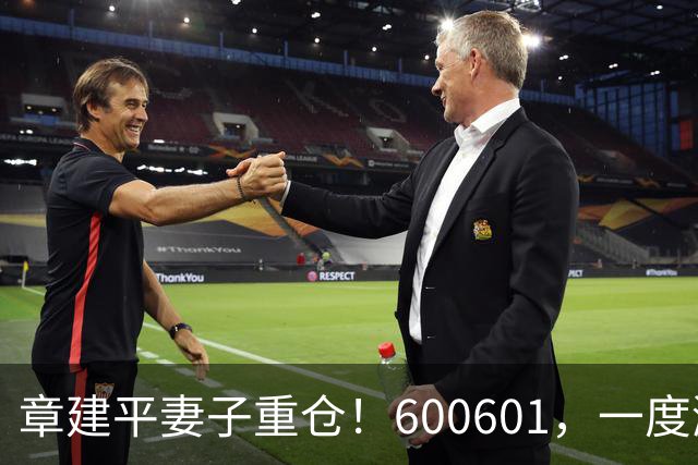 章建平妻子重仓！600601，一度涨停