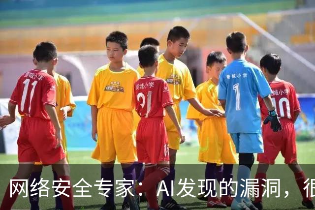 网络安全专家：AI发现的漏洞，很快或将引发新的安全隐患