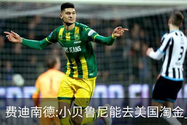 费迪南德:小贝鲁尼能去美国淘金 C罗也可以去沙特