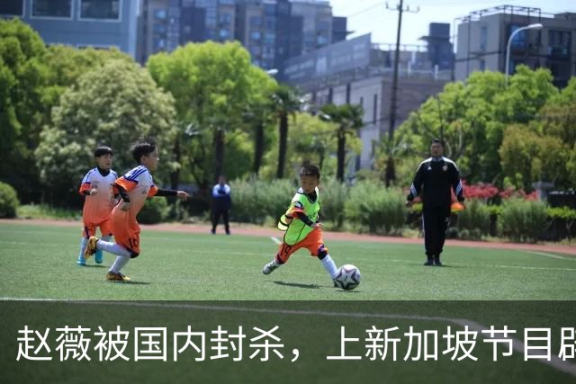 赵薇被国内封杀，上新加坡节目辟谣，称喜欢目前的生活