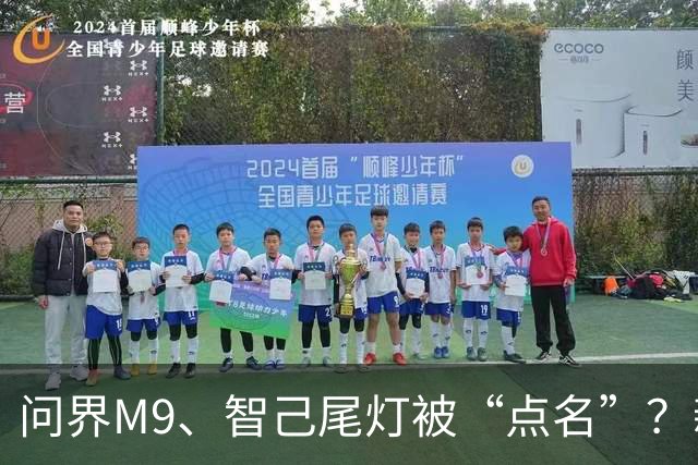 问界M9、智己尾灯被“点名”？新规：车灯不许卖萌