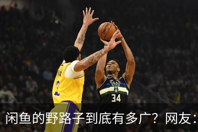 闲鱼的野路子到底有多广？网友：五花八门的啥都有