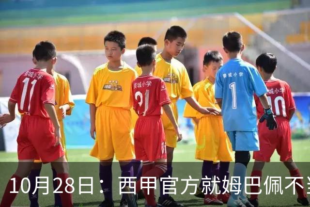10月28日：西甲官方就姆巴佩不当言论致歉，推行文化规范，樊振东取关态度明确央视已全