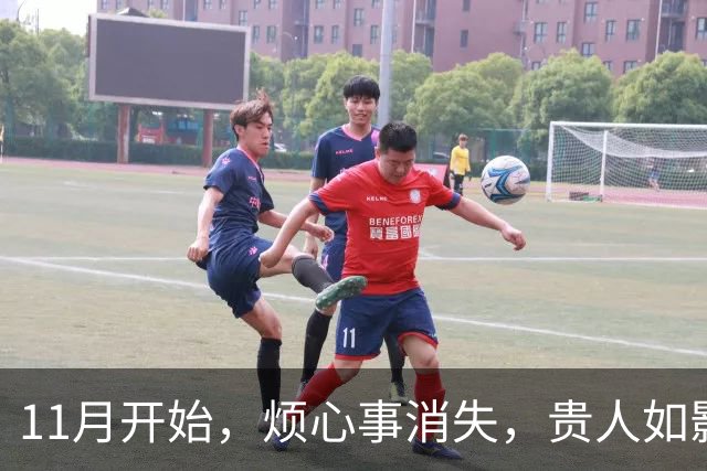 11月开始，烦心事消失，贵人如影随形，生活没啥压力的生肖