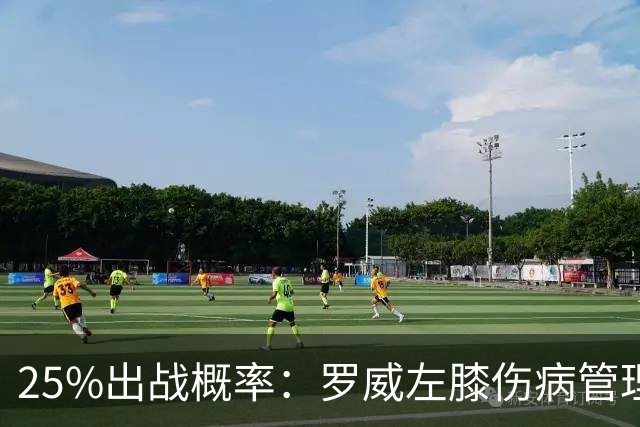 25%出战概率：罗威左膝伤病管理，开拓者主场对灰熊恐缺他